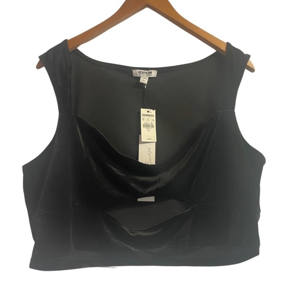 Express NWT crop top. Black velour with a cute cut out. Dressy or party attire.